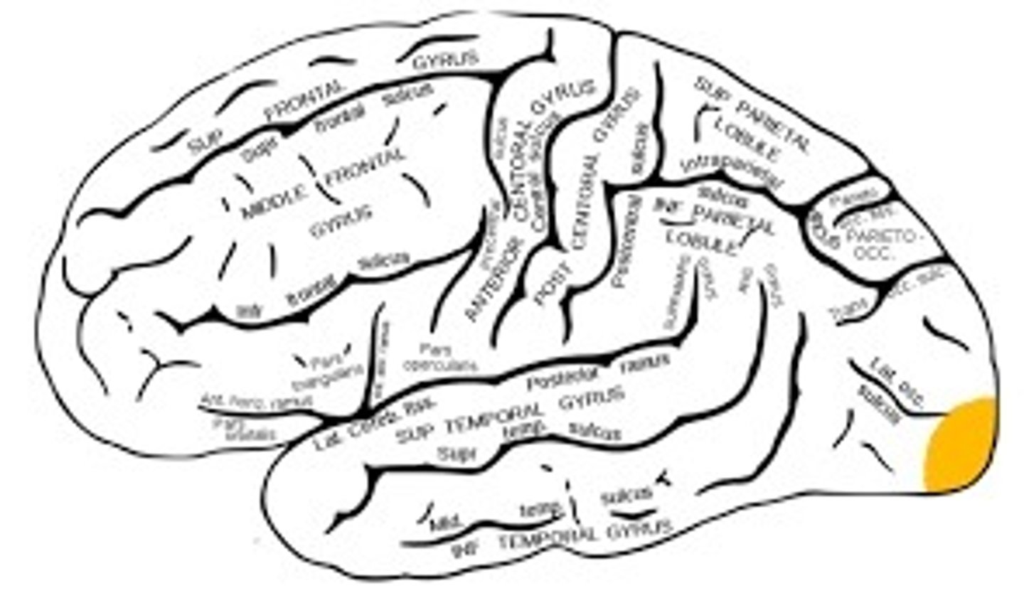 <p>feature. Will tap with 2 fingers</p>