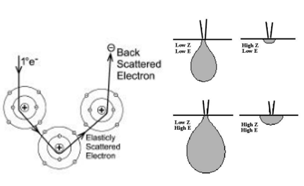 <p>Caused when an incident electron collides with an atom normal to incident path, and is scattered backwards 180<sup>o</sup>.</p><ul><li><p>High atomic number: bright </p></li><li><p>Low atomic number: dark</p></li></ul><p></p>