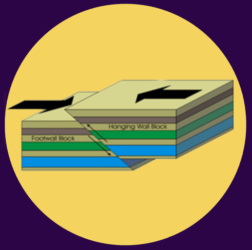 <p><strong>3 TYPES OF FAULT:</strong></p><p>this forms when the Earth’s surface moves towards one another &amp; is associated with <strong>compressional stress</strong></p>