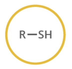 <p>functional group</p>