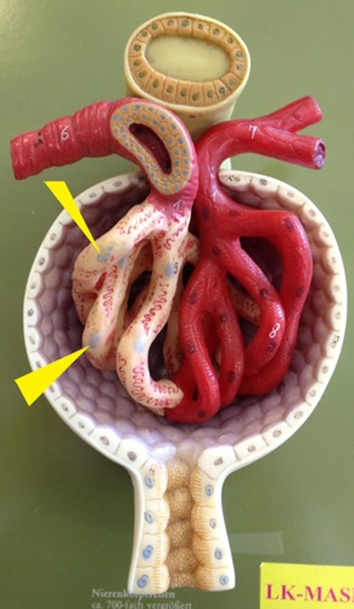 <p>ID structure (wall)</p>