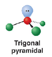 <p>trigonal pyramidal </p><p>107</p><p>NH3 and H3O+</p>