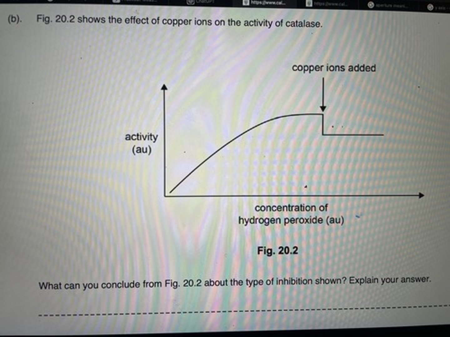 <p>Non competitive inhibition/rate of reaction does not continue to rise as substrate concentration does/this would be so in competitive inhibition</p>