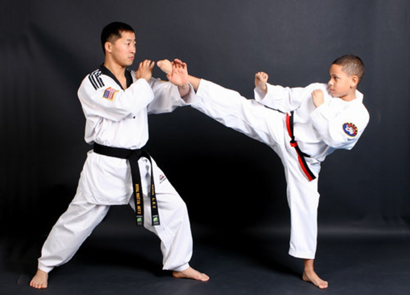 <p>Taekwondo (Korean martial art)</p>