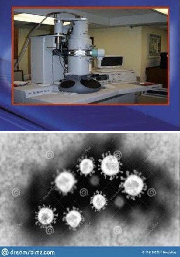 <p>A- identify</p><p>B- what is its principal of this</p><p>C- Give example With its morphology</p><p>D- what is its principal techniques</p><p>E- Give another types of same principal techniques</p><p>F- other techniques for diagnosis of viral infection</p>