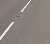 <p>Cats eyes between road lines</p>