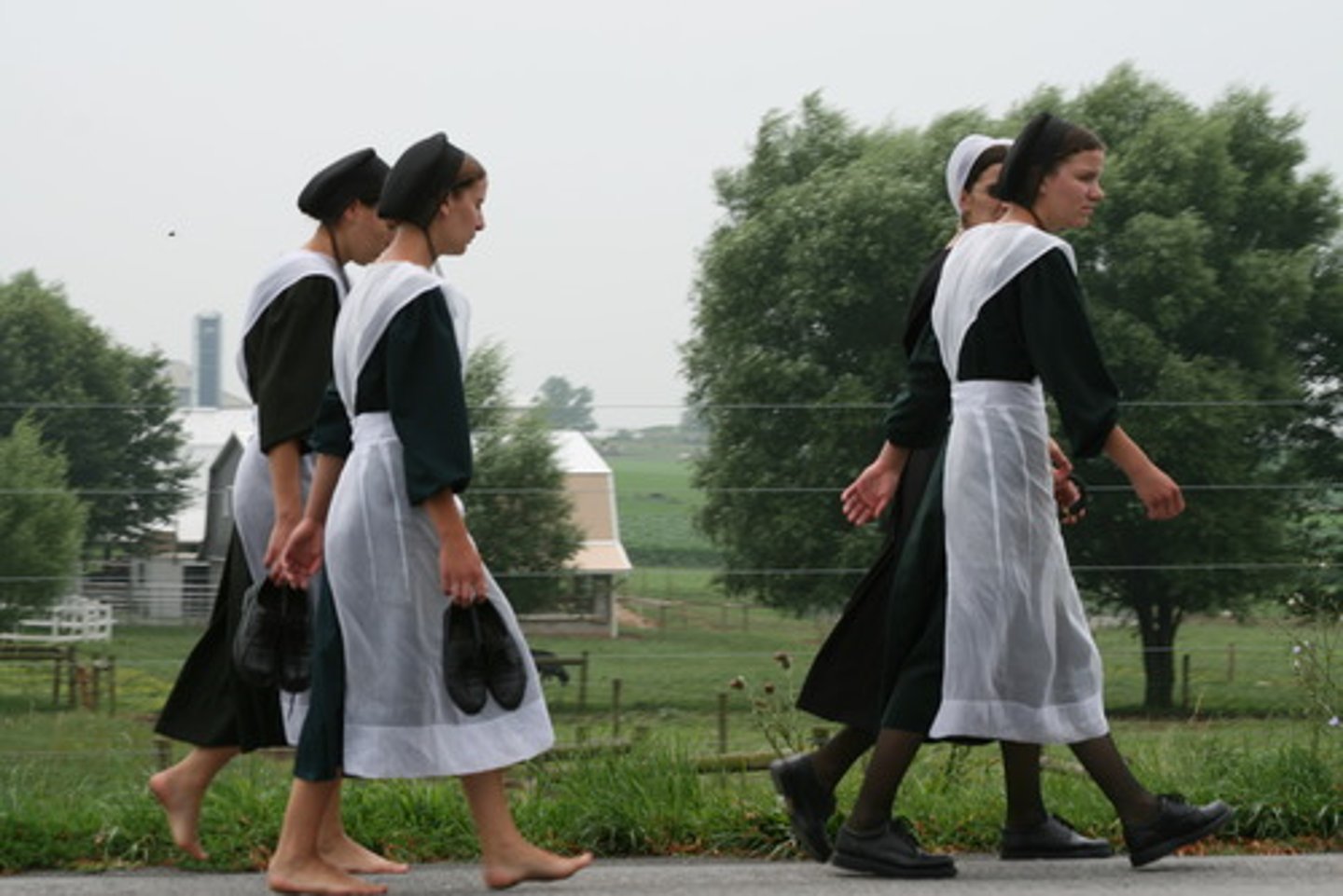 <p>Amish parents refused to send kids to school past 8th grade. Principle: Free Exercise Clause.</p>