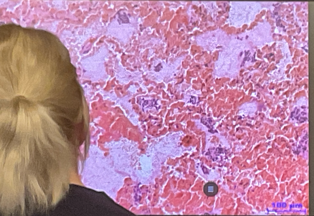 term image