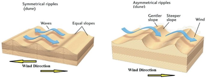 <p>Asymmetrical Ripples</p>