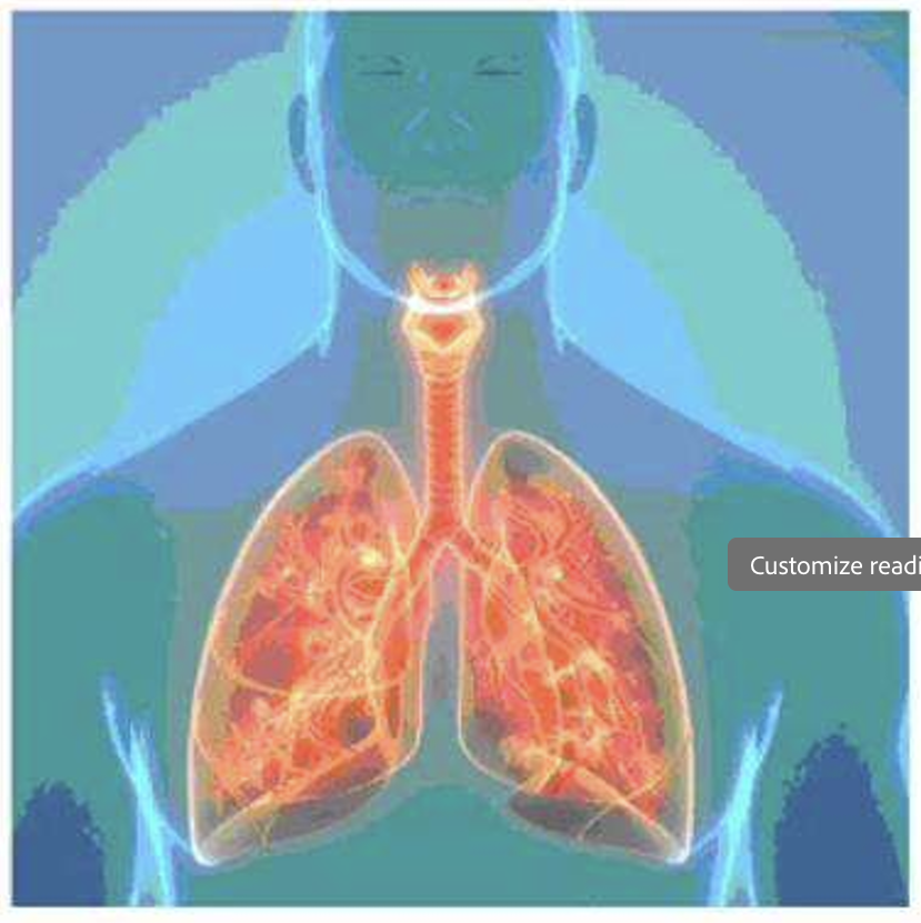 <p>Which of the following statements describes how the body system in the image can affect the cardiovascular system?</p>
