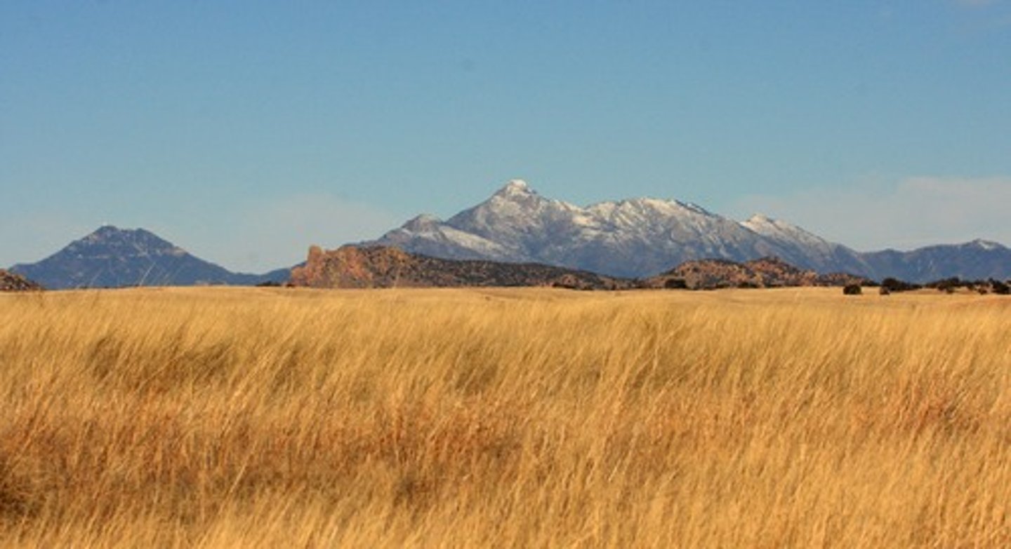 <p>-Cool Winters, Warm Summers (seasonal variation is more extreme than temperate deciduous forests)</p><p>-Limited amount of precipitation</p><p>-Also called prairie or steppe</p><p>-Northern Hemisphere</p><p>-North America, Middle East, Europe, Asia</p><p>-Very fertile soils (used for agriculture)</p>