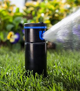 <p>Name this irrigation component</p>