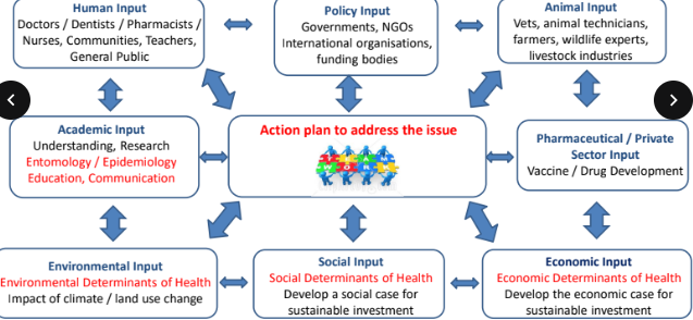 <p>Human Input</p><p>Academic input</p><p>Policy input</p><p>Animal input</p><p>Pharmaceutical/ Private input</p><p>Environmental Input</p><p>Social Input</p><p>Economic Input</p>