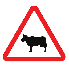 <p>¿Cuál es su significado?</p>