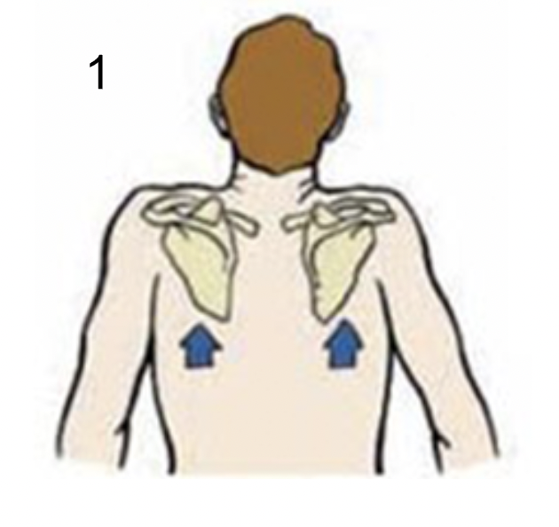 <p>Identify what type of position this is</p>