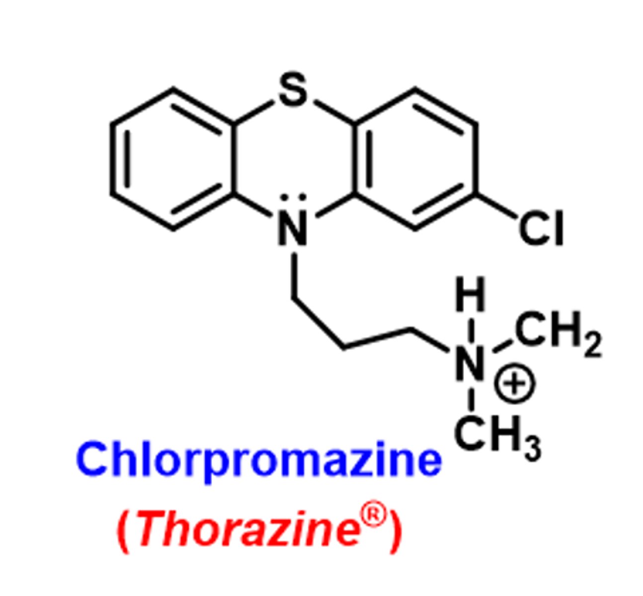 <p>Describe the effect of then terminal amine effect on the SAR of phenothiazines.</p>