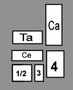 <p>1) 1st and 2nd TB <strong>fused</strong></p><p>2) 3rd TB is very large</p><ul><li><p>Articulates with the 3rd metatarsal, which is weight bearing in this species </p></li></ul><p></p>