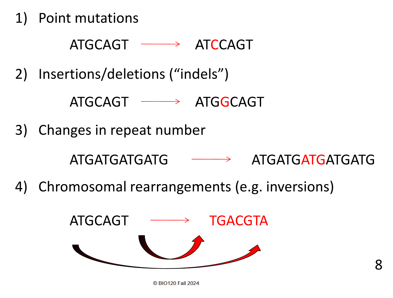 <ol><li><p>Point mutations (replaced letter inside sequence)</p></li><li><p>Indels (added/removed letter inside sequence)</p></li><li><p>Changes in repeat number (more frequent in long repeating chains)</p></li><li><p>Chromosomal rearrangements (ex. inversions) </p></li></ol><p></p>