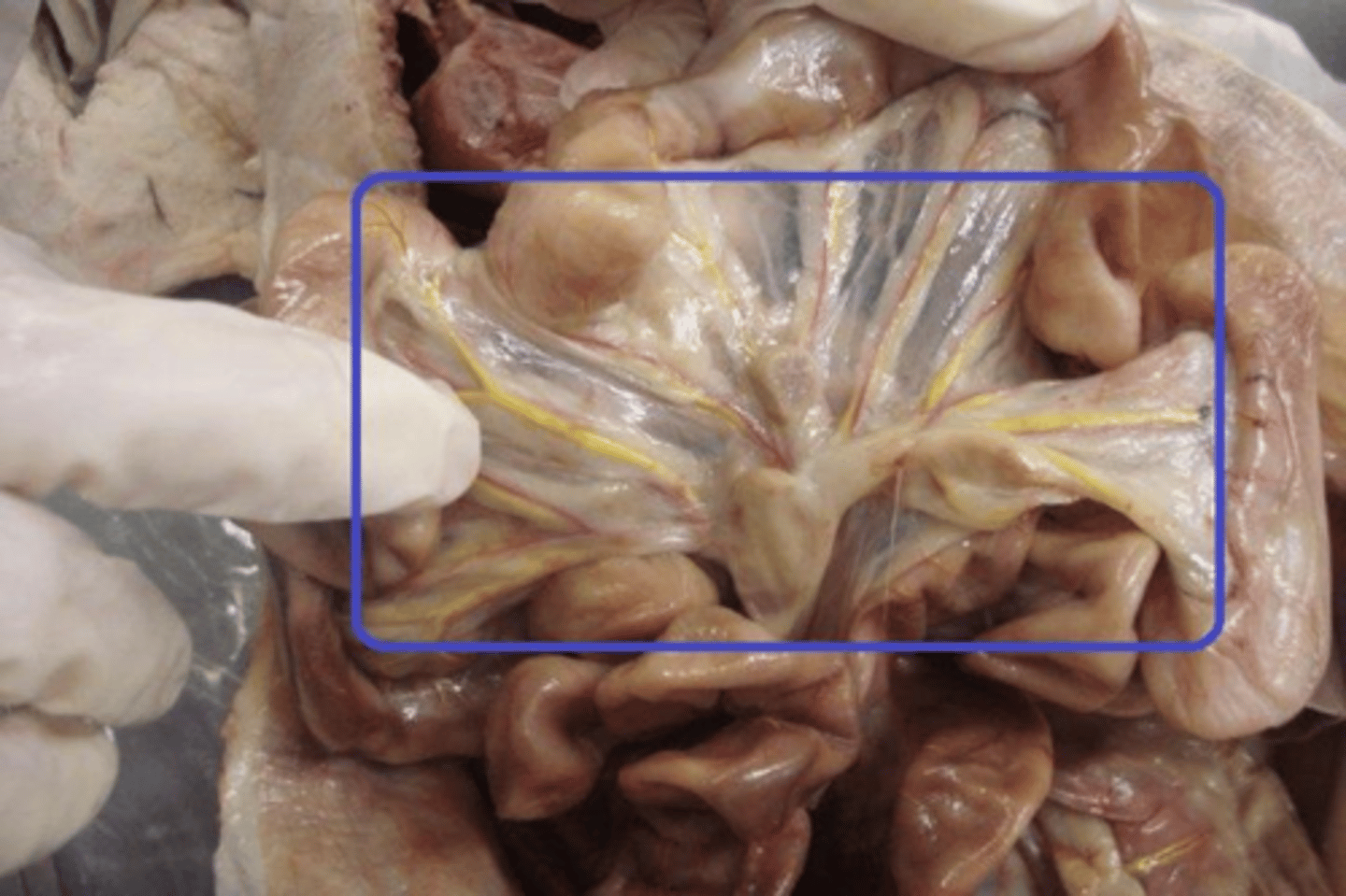 <p>What is this?</p>