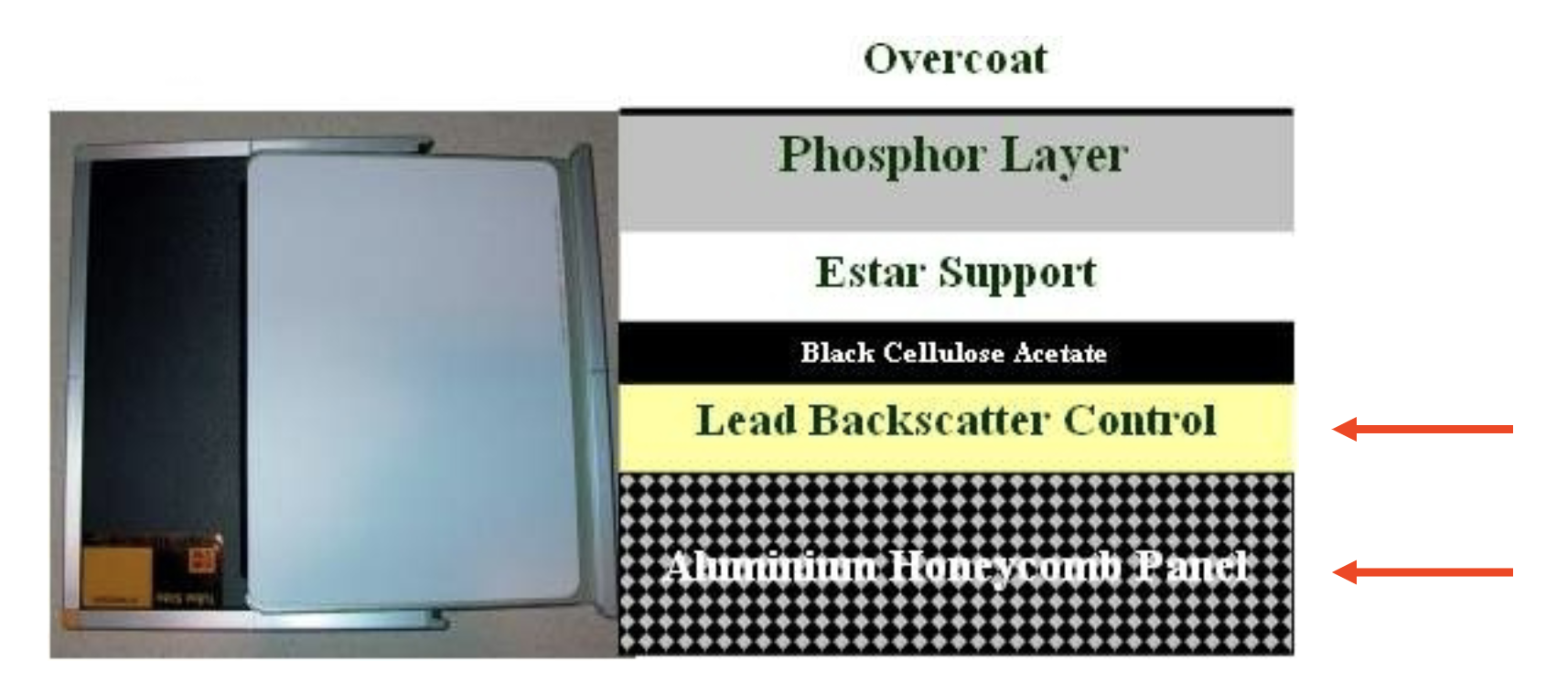 <p>backing layer</p>