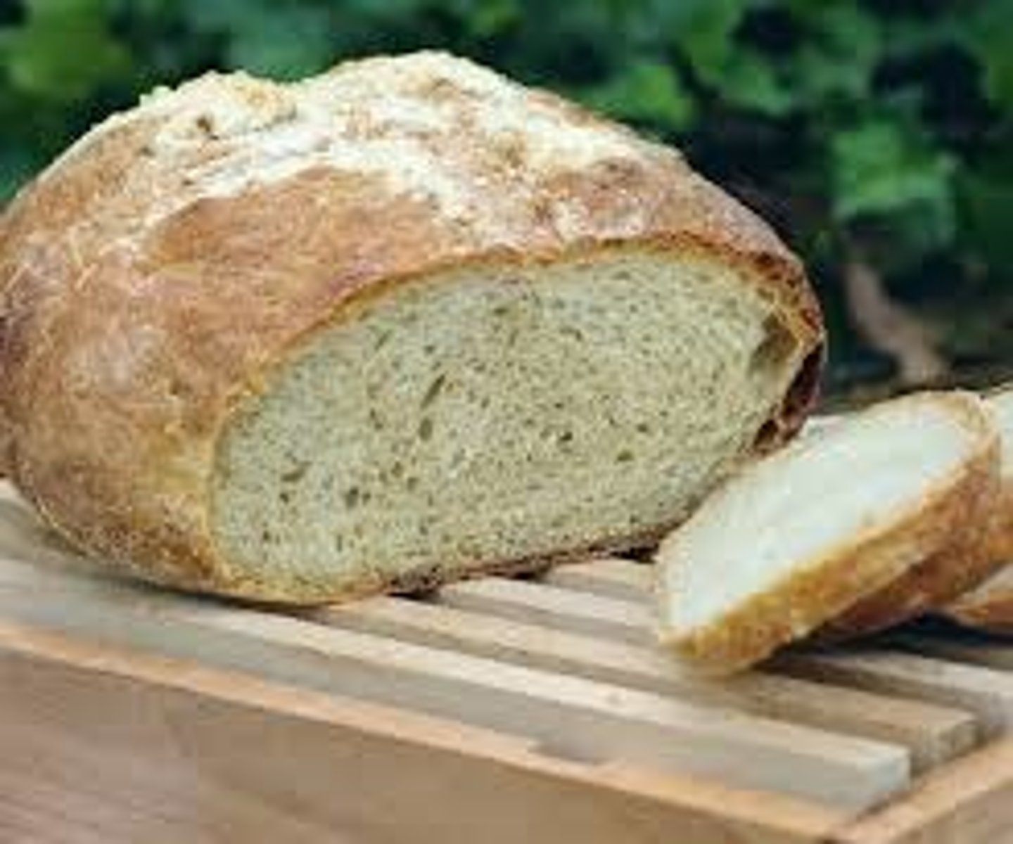 <p>whole-wheat bread</p>