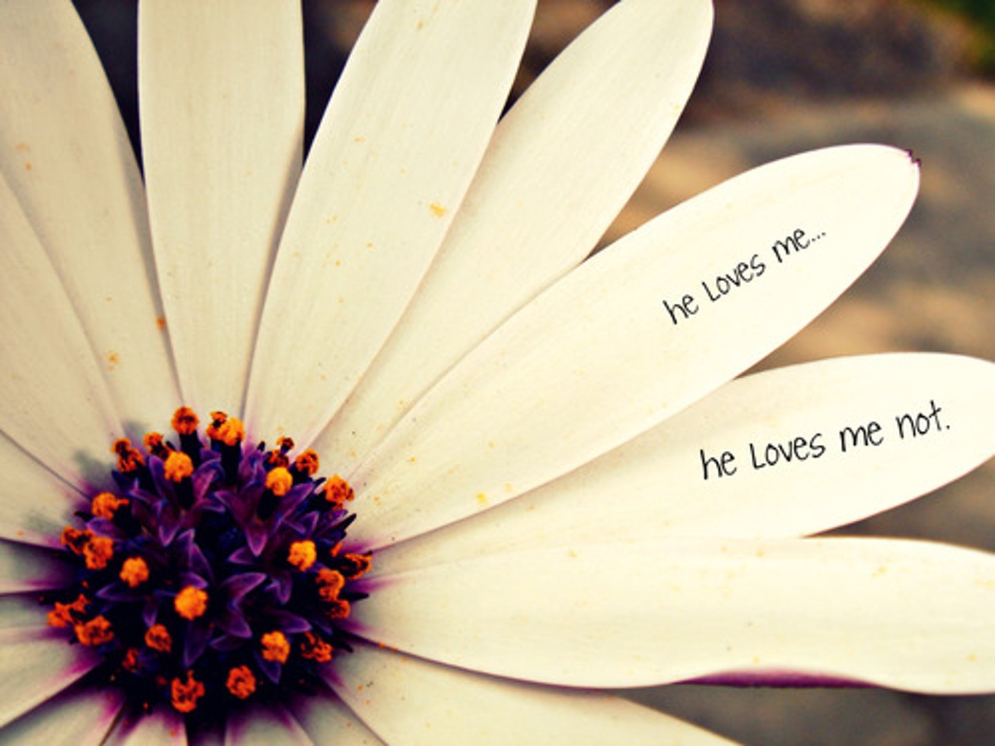 <p>(s) he likes ...</p>