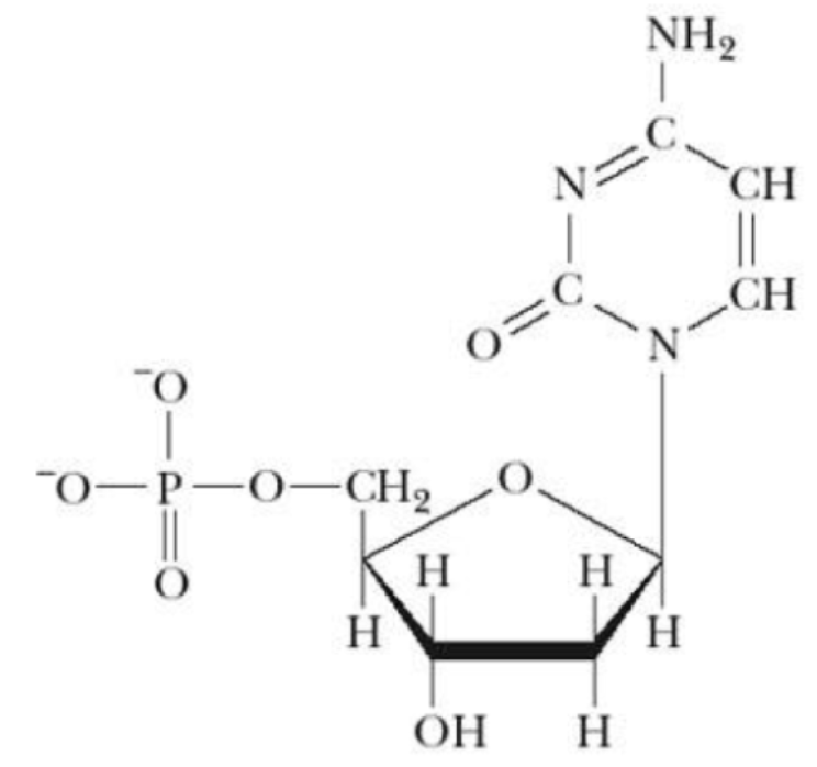 <p>what is this structure?</p>