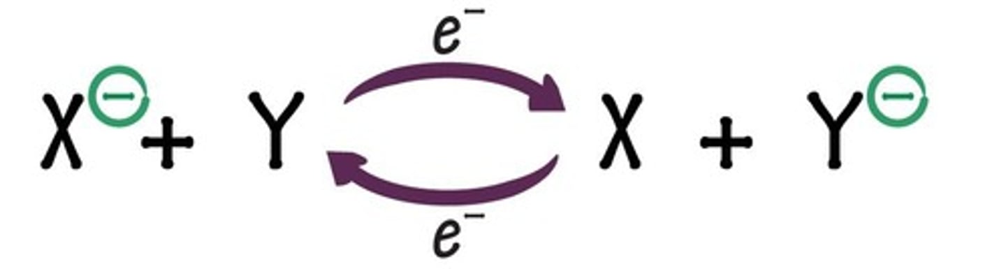 <p>The transition state is a short-lived, unstable chemical state that requires less activation energy to reach the product than if the enzyme were absent.</p>