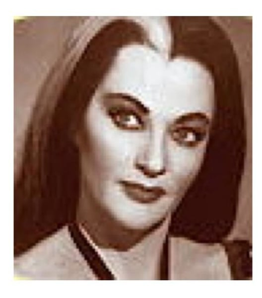 <p><strong>White Forelock</strong></p><p><span class="bgP">- dominant trait</span></p><p>- a patch of white hair, usually located at the hairline just above the forehead</p><p></p><p><strong>No white forelock</strong></p><p><span class="bgP">- recessive trait</span></p>