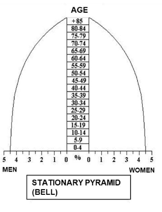 <p>Stabilized population with balanced age groups.</p><p>-stationary - balance between all groups</p><p>-developed countries </p><p>-intermediate step</p>