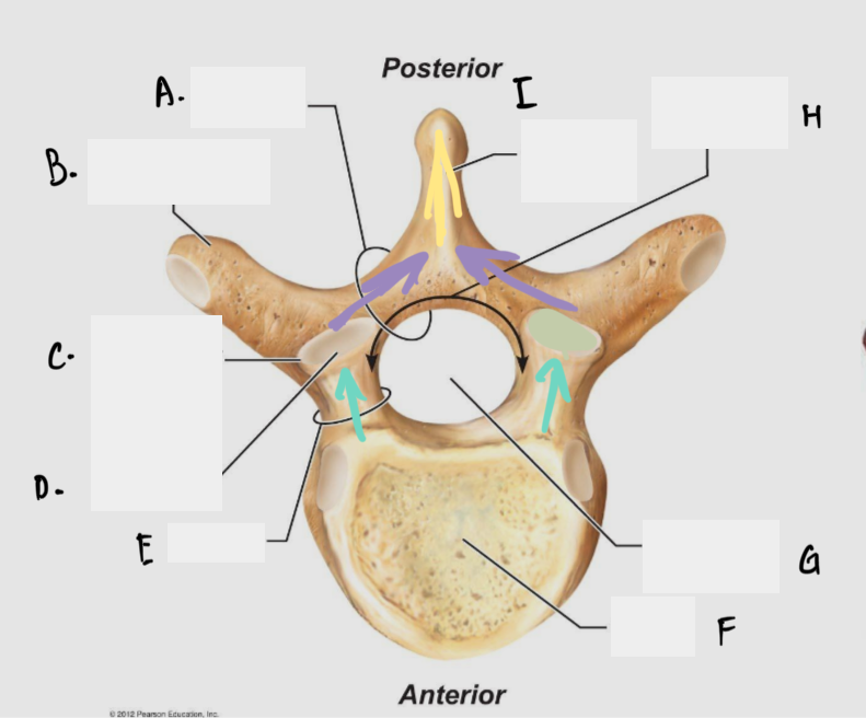 <p>Label the parts</p>
