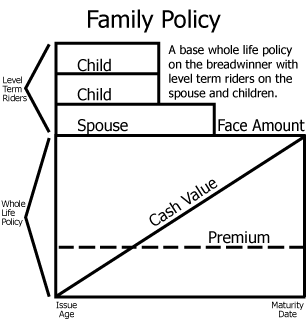 <p><strong>family protection</strong><span> or </span><strong>family&nbsp;policy</strong></p>
