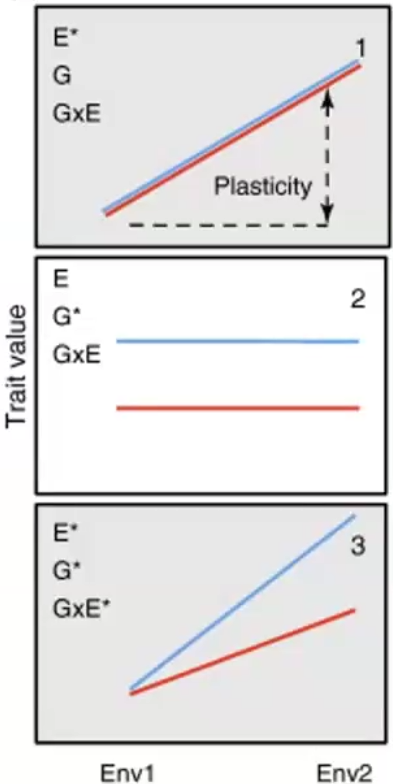 <p>a that plasticity results are often reported in papers</p>