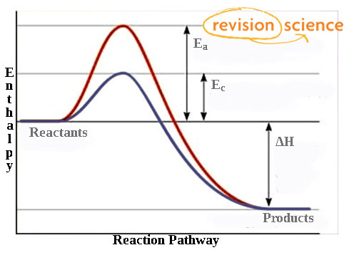 <ul><li><p>equal redutoin in the activation energy of both forward and backwards reactions</p></li><li><p>hump is lowered</p></li></ul>