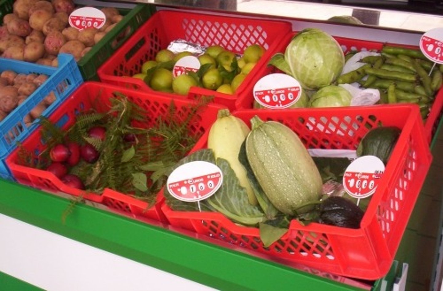 <p>small-scale, manual labor agricultural production of a variety of crops to be sold locally</p>