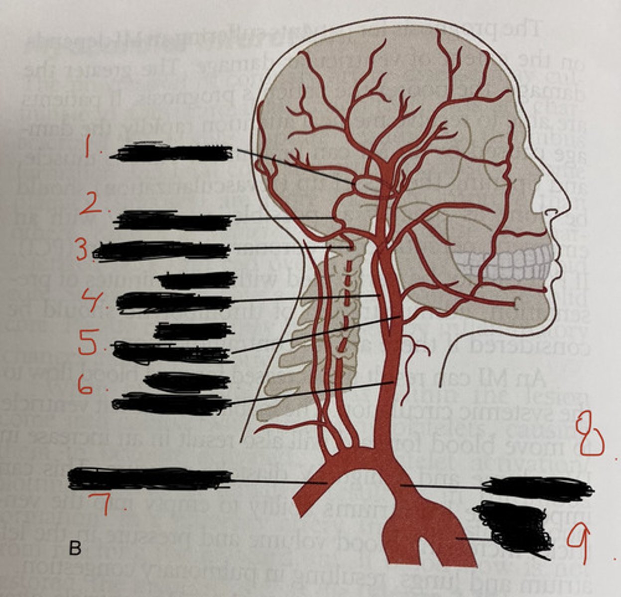 <p>Define #7</p>