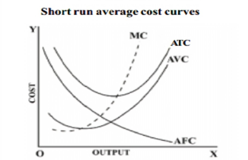 <ul><li><p>Likely to be u-shaped</p></li><li><p>AC initially falls as output increases and then starts to increase</p></li><li><p>AVC is u-shaped because it is limited by FoPs</p></li><li><p>AFC falls as output rises because TFC is spread across greater levels of output</p></li></ul>
