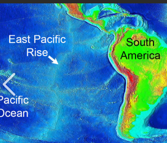 <p>divergent plate boundary</p><p>MOR: not centered</p><ul><li><p>very FAST SPREADING(10s cm/year), gentle slopes </p><p></p></li></ul><p></p>