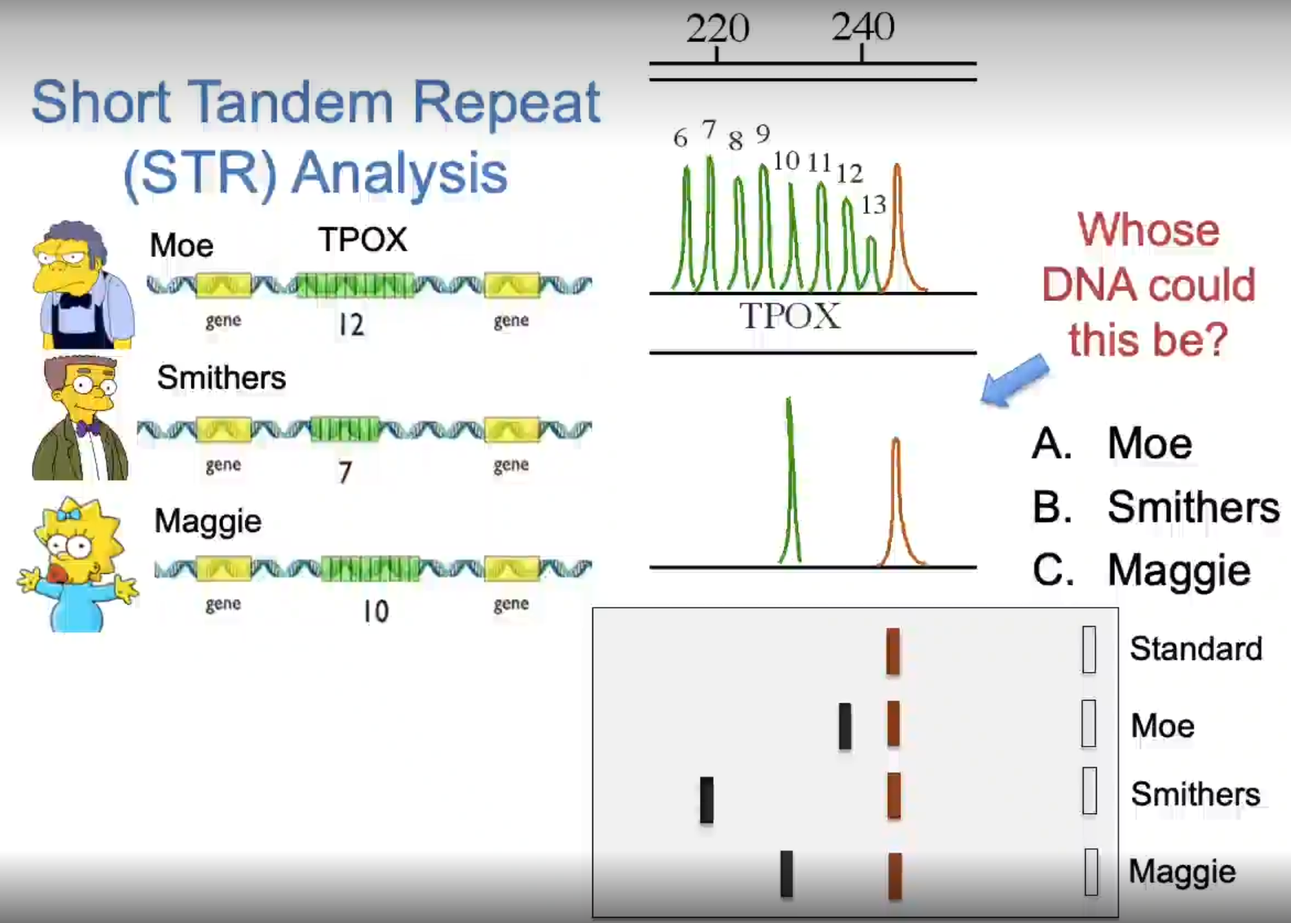 <p>Whose DNA could this be? Moe, Smithers, or Maggie</p>