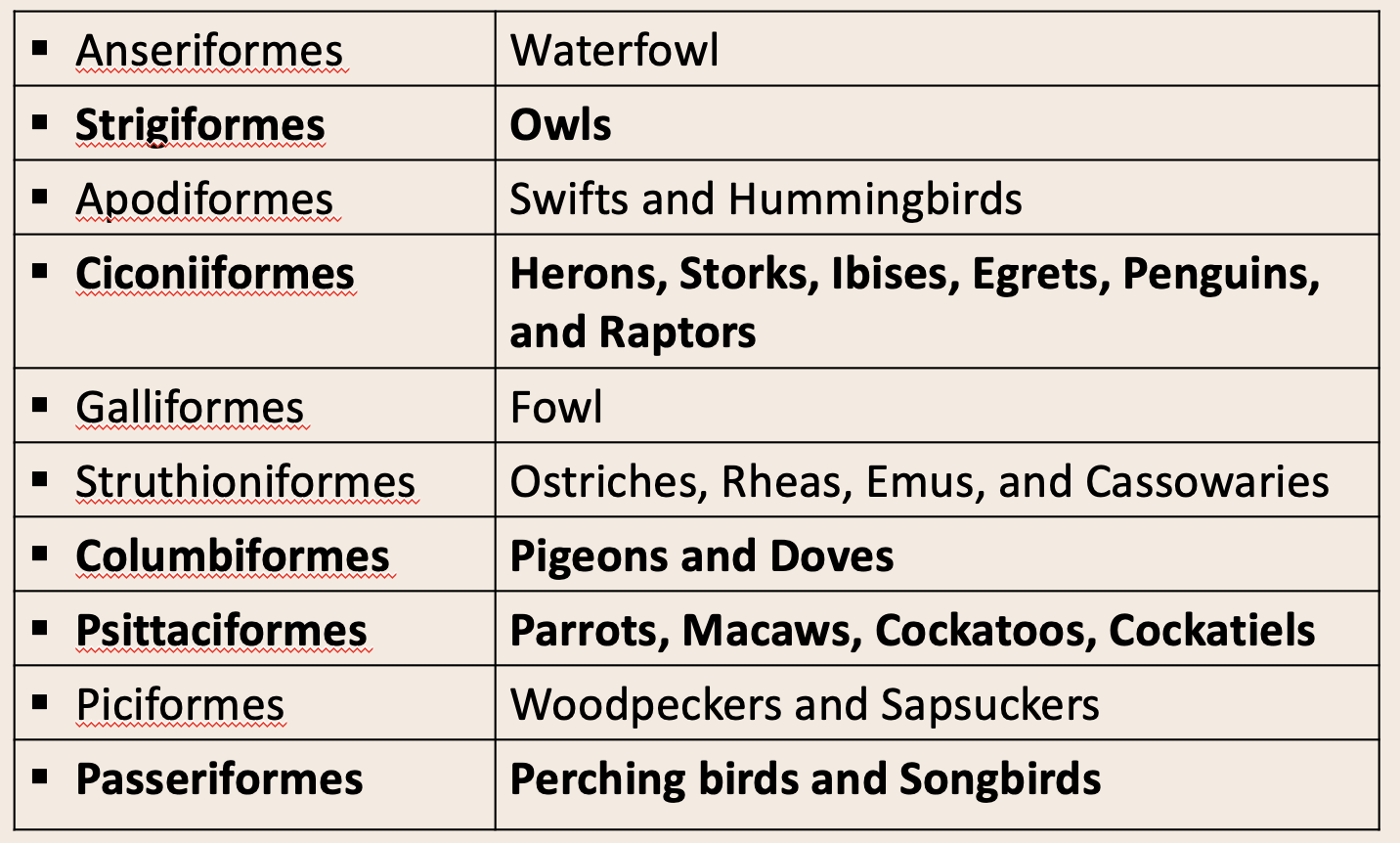 <p>Psittaciformes and Passeriformes = important for this class</p>