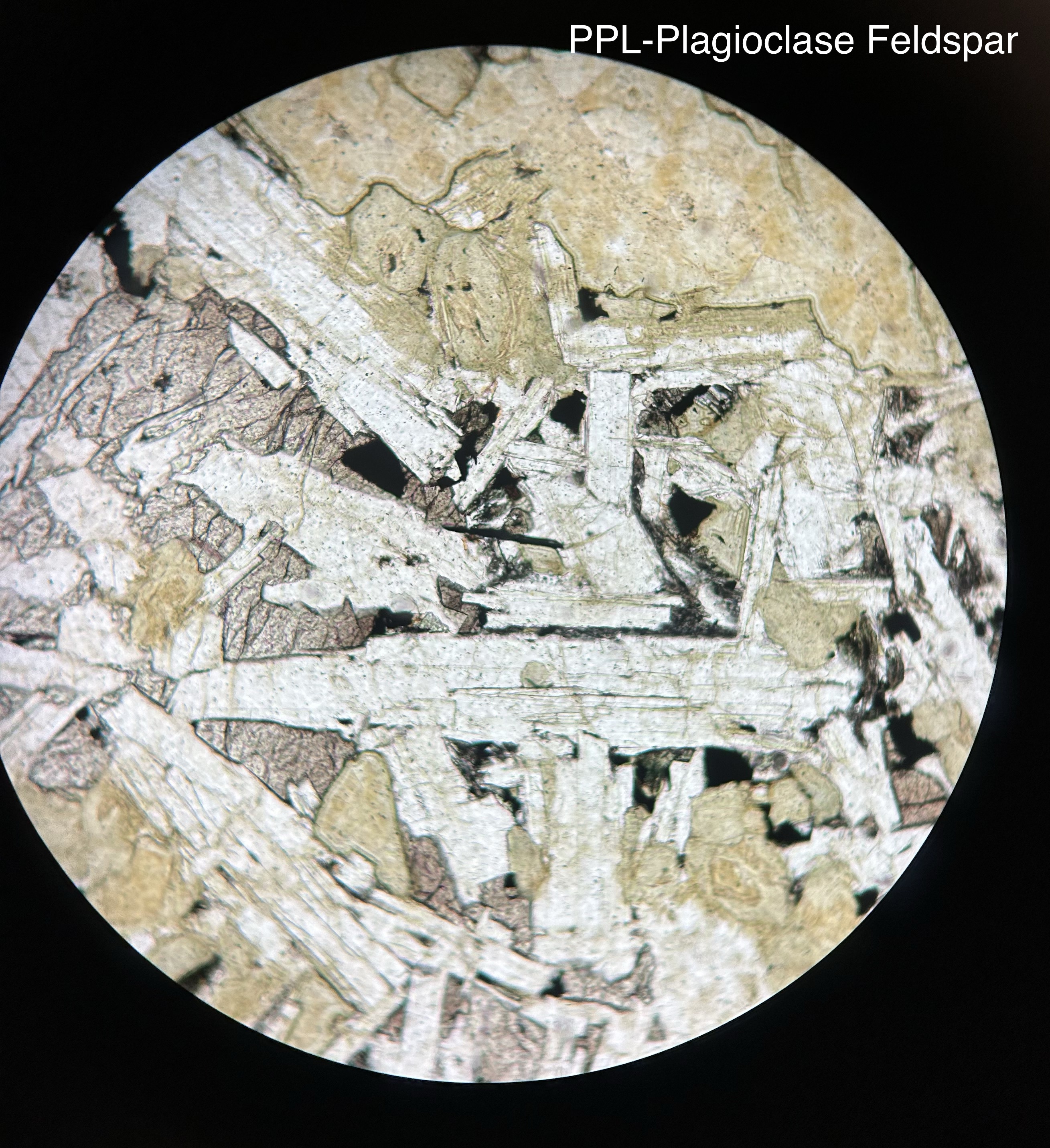 <p>Plagioclase Feldspar-Albite and Anorthite </p>