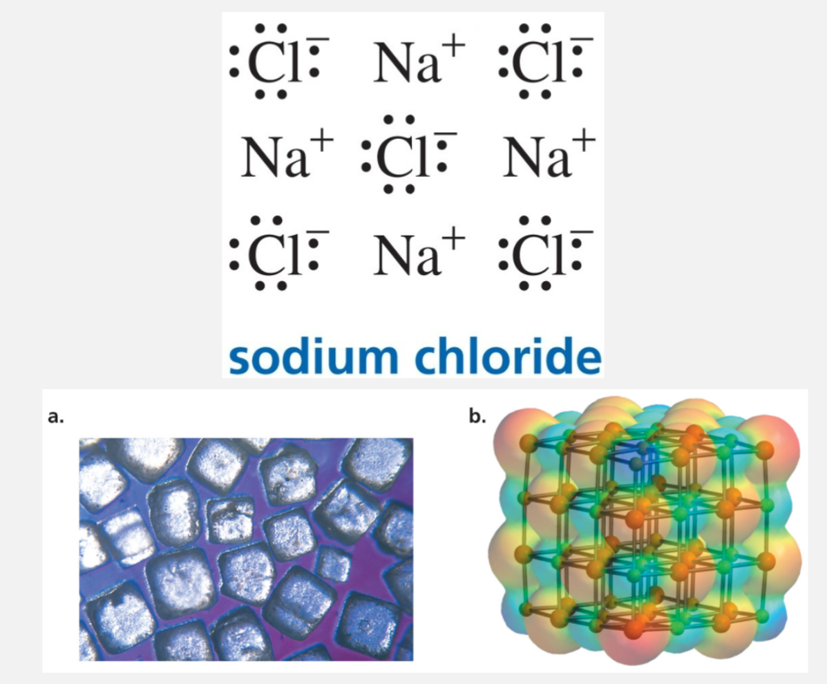 <p>An ionic bond is formed by the attraction between ions of opposite charge</p>