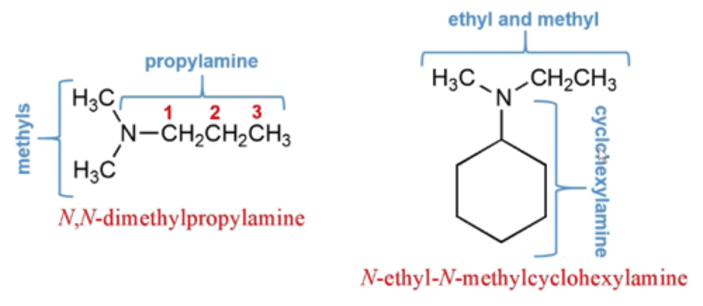 <p>asymmetrical (tertiary) amines:</p><p>-named as N-substituted primary amines, with the largest alkyl group being named as the parent chain</p>