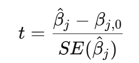 <p>Usually test H₀: βⱼ = 0, so denominator is the standard error of βⱼ</p>