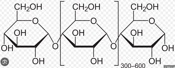 <p><span>No branches, all 𝛂-1, 4-glycosidic linkages</span></p>