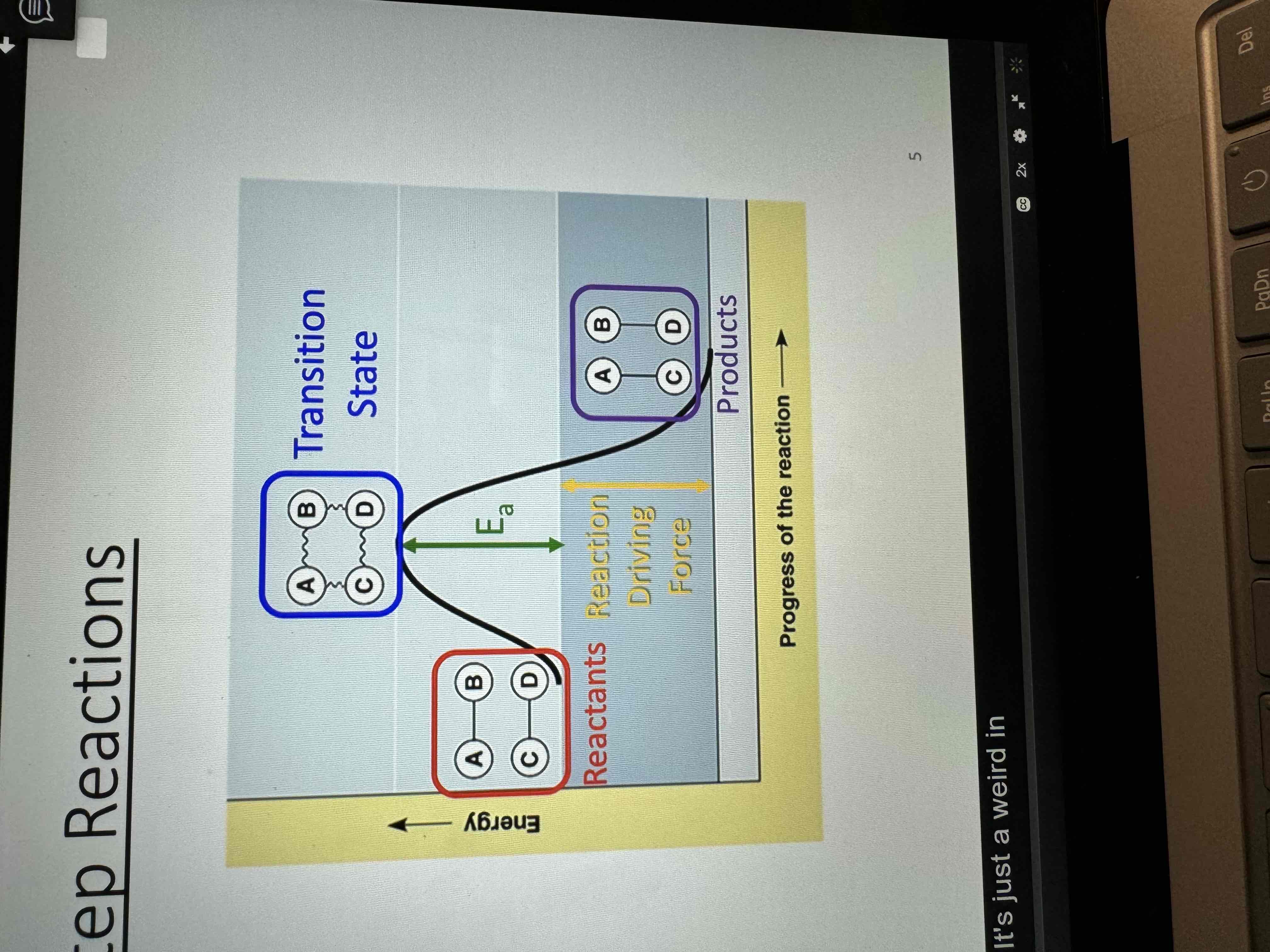 <p>Transition state </p>