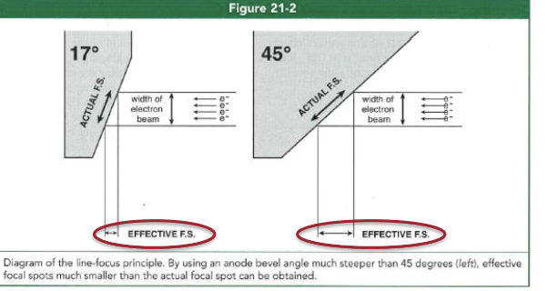 <p>smaller, more</p>