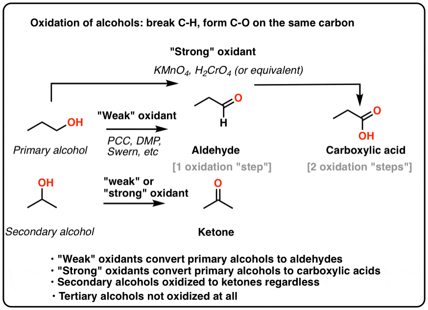 <p>Oxidized into an aldehyde by PCC; Oxidized into a carboxylic acid by stronger oxidizing agents (i.e. chromium)</p>