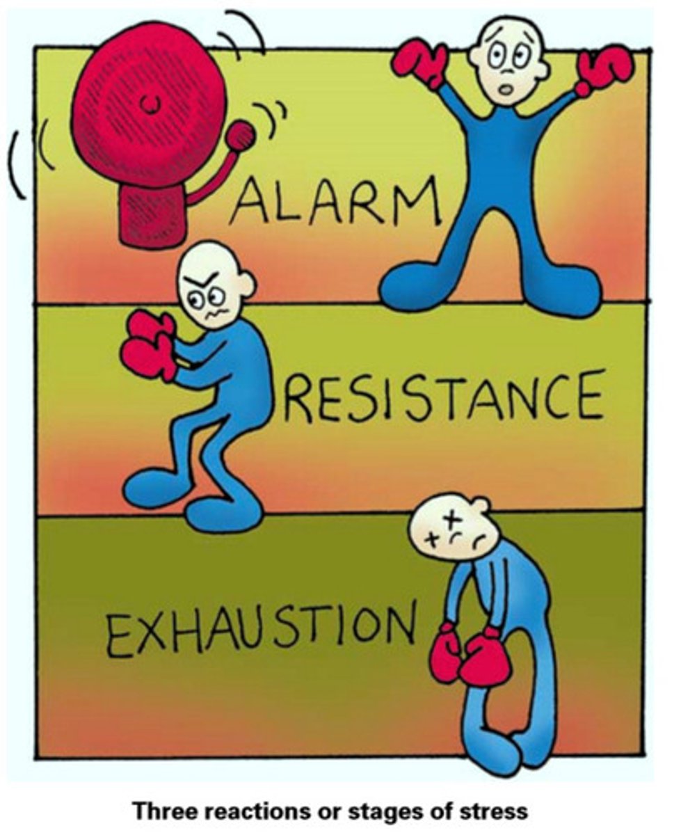 <p>The body's organs and immune system become weakened and damaged.</p>