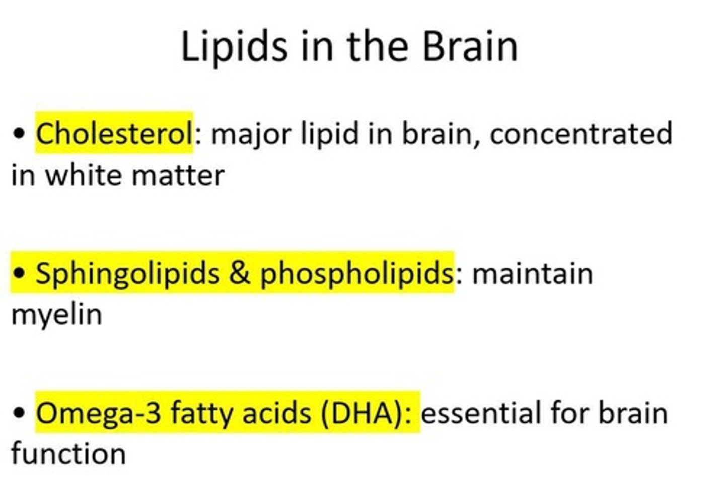 <p>Build and maintain cell membranes, form myelin sheaths, support brain signaling, store energy for brain cells, protect and repair neurons.</p>